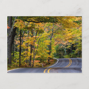 Herbstlaubdach entlang des Highway 41 Postkarte
