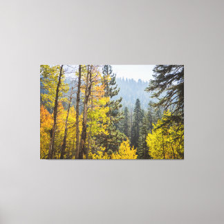 Herbstlaube am Lake Tahoe Stretched Canvas Print Leinwanddruck