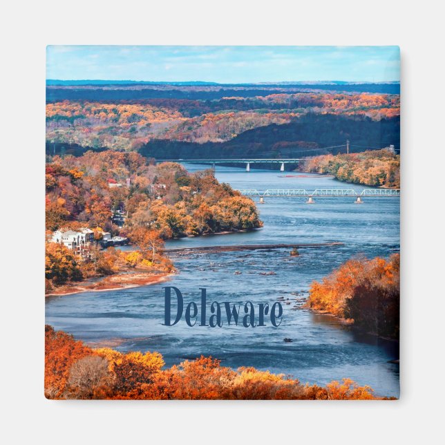 Herbstlaube des Delaware Magnet (Vorne)