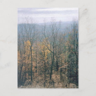 Herbstlaube - Georgien Postkarte