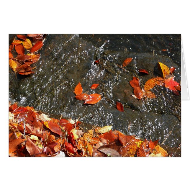 Herbstlaube im Wasserfall I Herbstfotografie (Vorderseite (Horizontal))