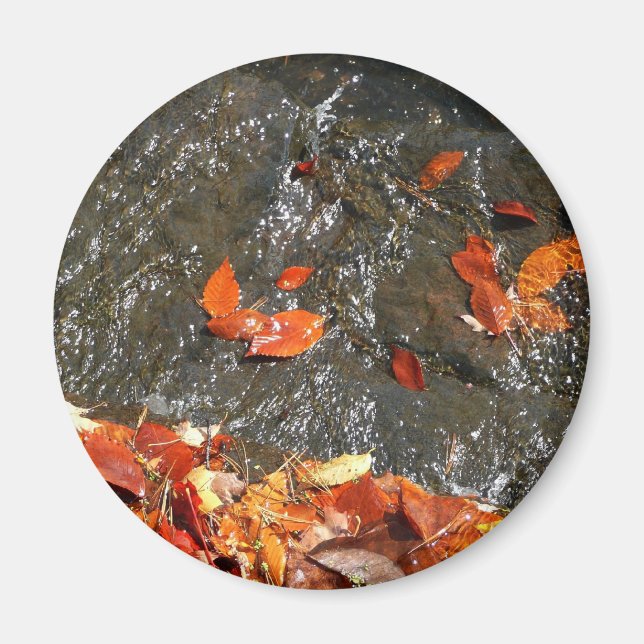Herbstlaube im Wasserfall I Herbstfotografie Magnet (Vorne)