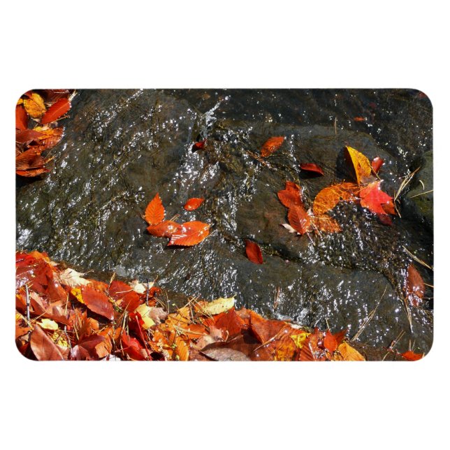 Herbstlaube im Wasserfall I Herbstfotografie Magnet (Horizontal)