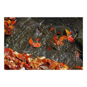 Herbstlaube im Wasserfall I Herbstfotografie Poster