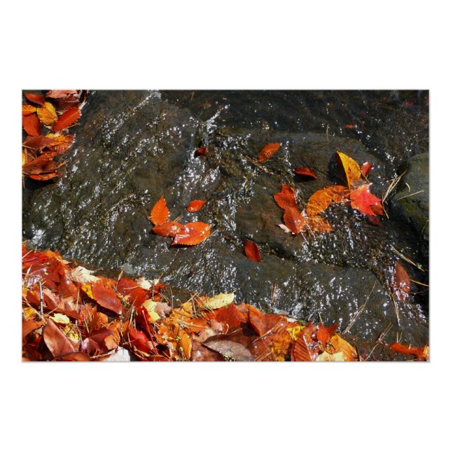 Herbstlaube im Wasserfall I Herbstfotografie Poster (Vorderseite)