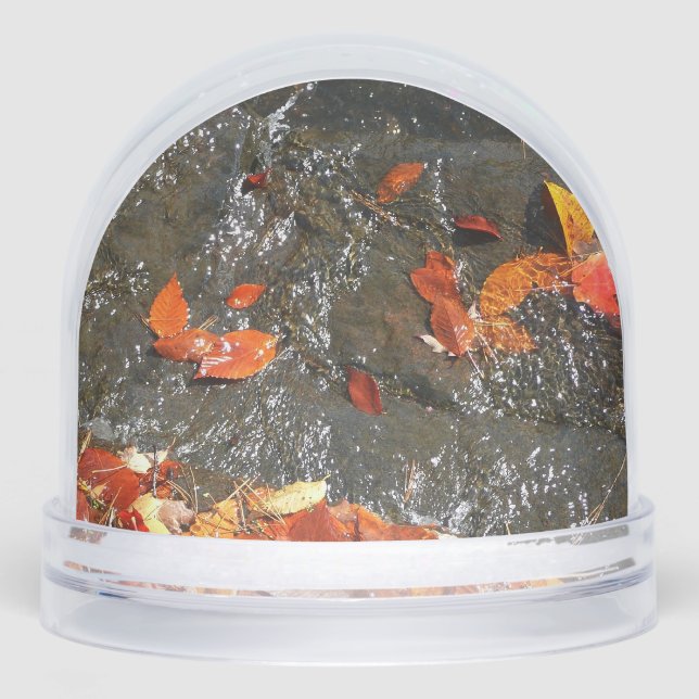 Herbstlaube im Wasserfall I Herbstfotografie Schneekugeln (Vorderseite)