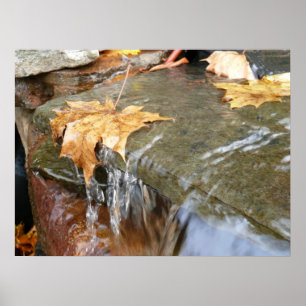 Herbstlaube im Wasserfall II Herbstfotografie Poster