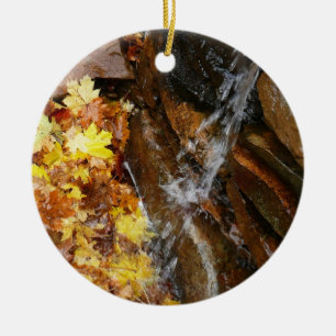 Herbstlaube im Wasserfall III Herbst Natur Keramik Ornament