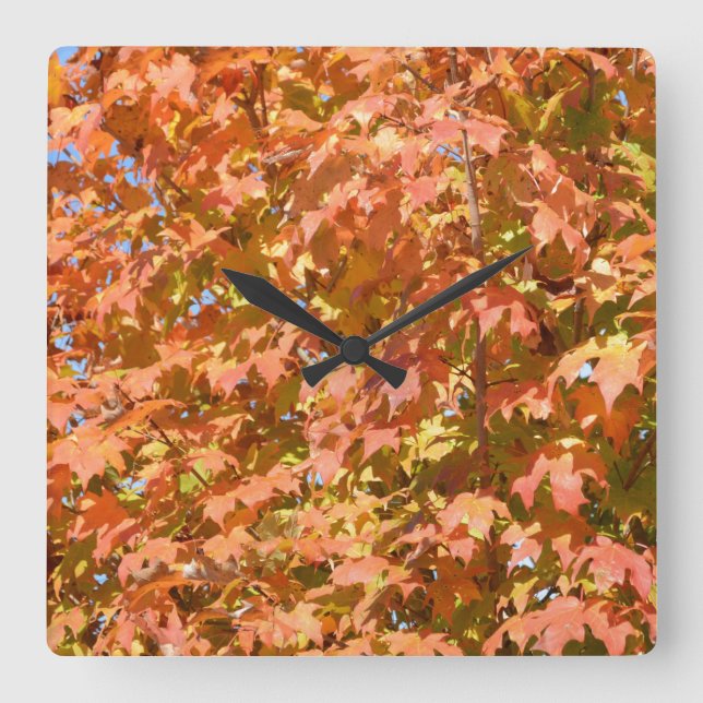 Herbstlaube in Baumlandschaft Quadratische Wanduhr (Vorderseite)