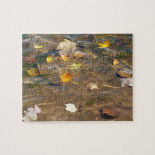 Herbstlaube in Pond Water Nature Fotografie Puzzle