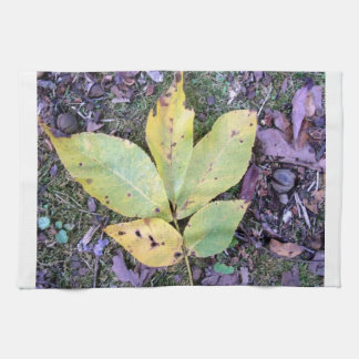 Herbstlaube Küchentücher