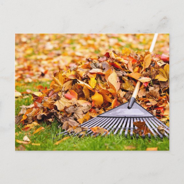 Herbstlaube mit Rake Postkarte (Vorderseite)