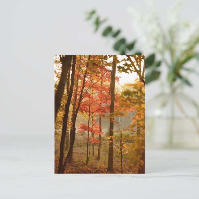 Herbstlaube Trees Feiertagspostkarte (Stehend Vorderseite)