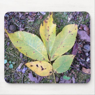 Herbstlaubs Mousepad