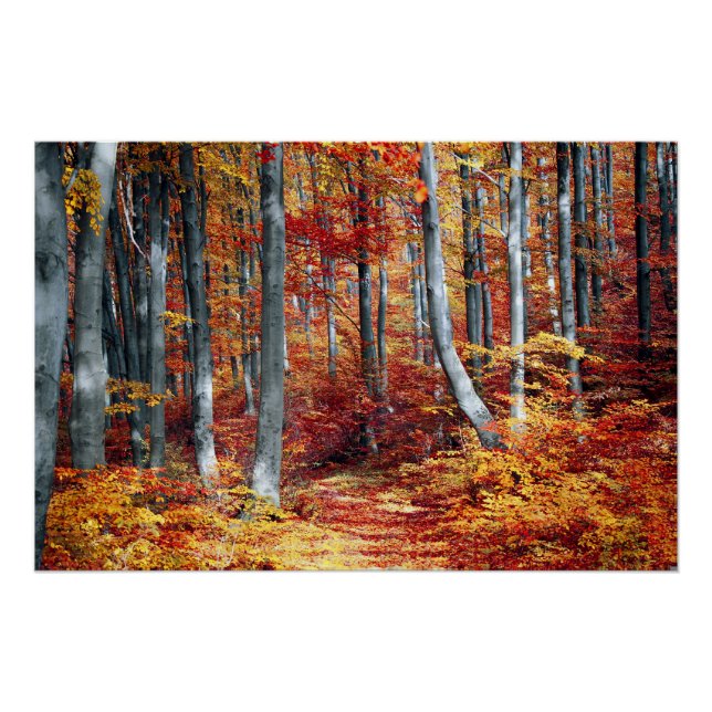 Herbstlaubs Woods Herbstwaldhochzeit Poster (Vorderseite)