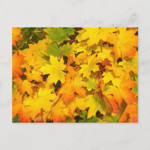 Herbstleaf Baum Fall Naturwald Destination Saison Postkarte