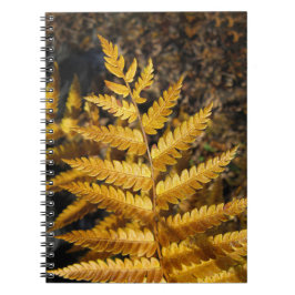Herbstleaf Golden Fern Foto Notizblock