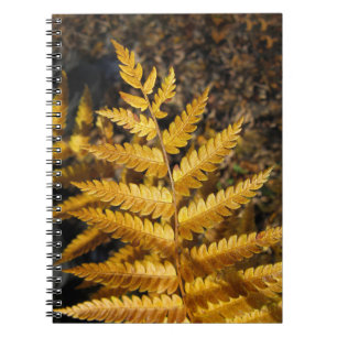 Herbstleaf Golden Fern Foto Notizblock