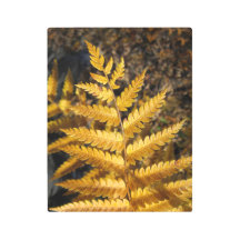 Herbstleaf Golden Yellow Fern