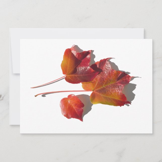 Herbstleaves (Vorderseite)