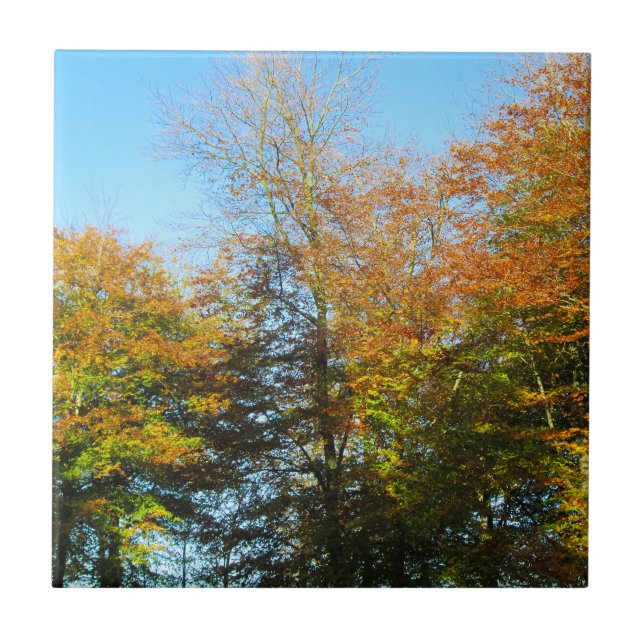Herbstleaves & Blauer Himmel - Personalisierte Ker Fliese (Vorderseite)