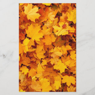 Herbstleaves Briefpapier