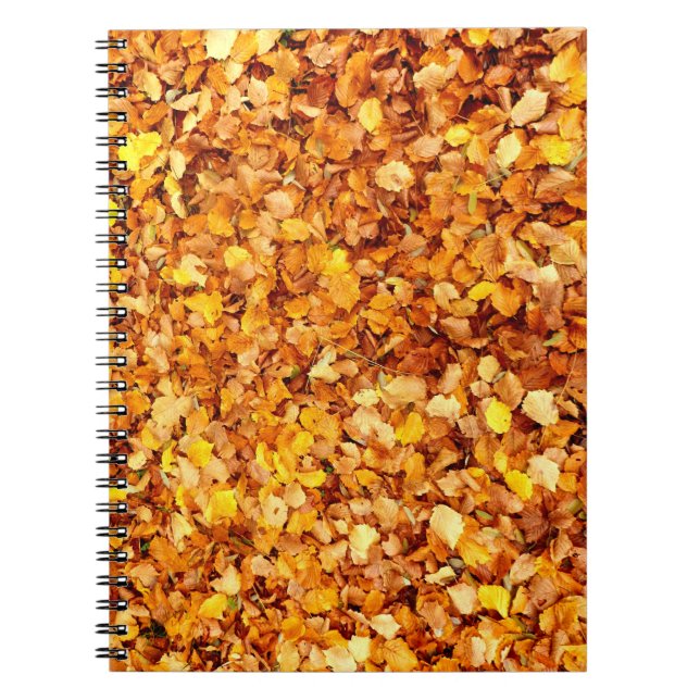 Herbstleaves Foto Notebook Notizblock (Vorderseite)