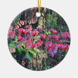 Herbstleaves Foto Ornament