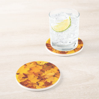 Herbstleaves Getränkeuntersetzer