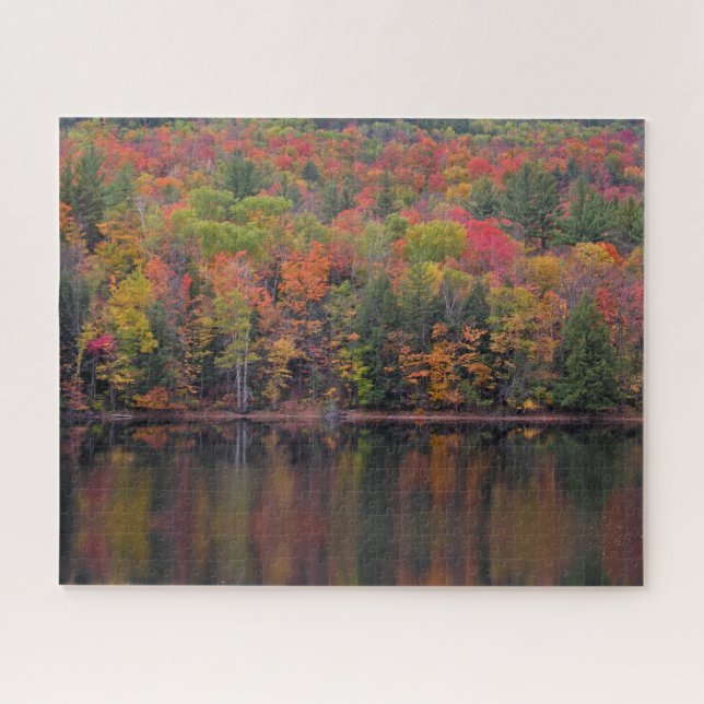 Herbstleaves Herbstfarbe Szene Jigsaw Puzzle (Horizontal)