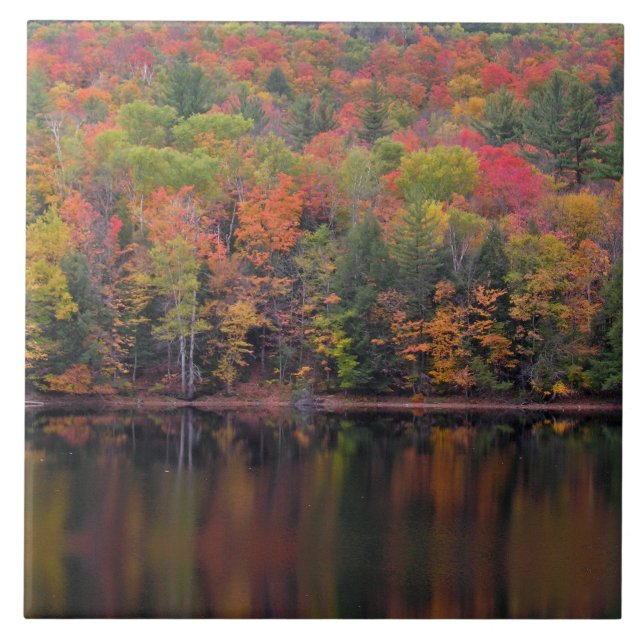 Herbstleaves Herbstfarben-Keramik Fliese (Vorderseite)