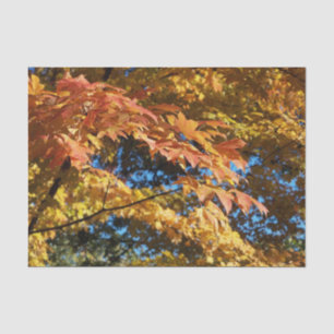 Herbstleaves Herbstsaison Seidenpapier