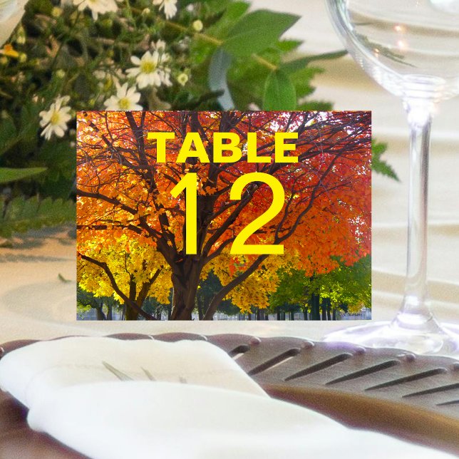 Herbstleaves Hochzeitskarte Tischnummer (Autumn Leaves Wedding Folded Table Card)