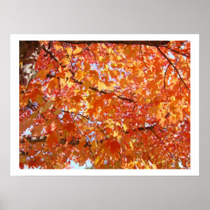 Herbstleaves Kunstdrucke Herbst Kunstdrucke Herbst Poster