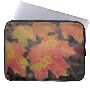 Herbstleaves Laptopschutzhülle
