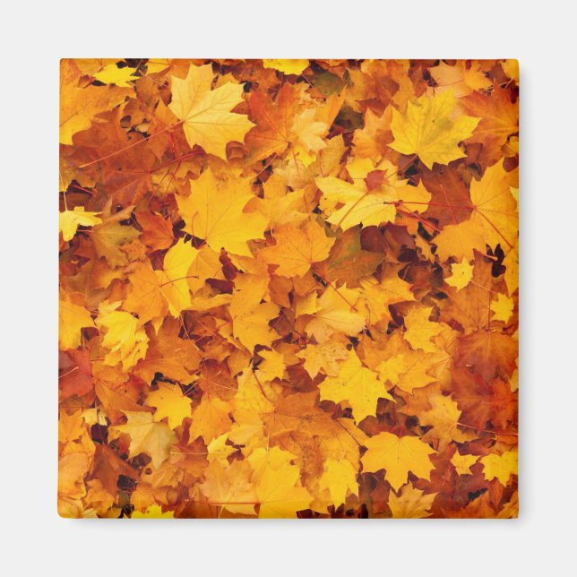 Herbstleaves Magnet (Vorne)