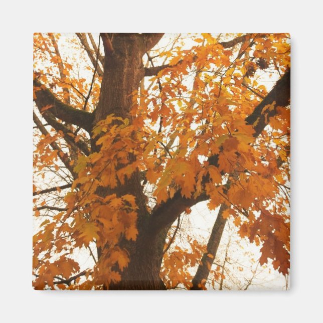 Herbstleaves Magnet (Vorne)