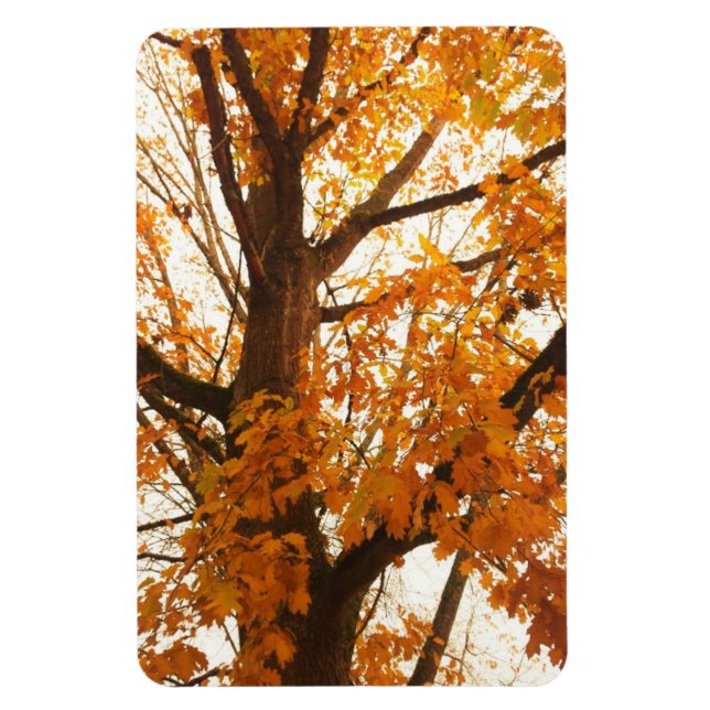 Herbstleaves Magnet (Vertikal)