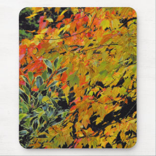 Herbstleaves Mousepad