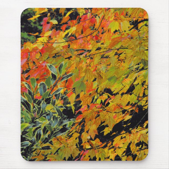Herbstleaves Mousepad (Vorne)