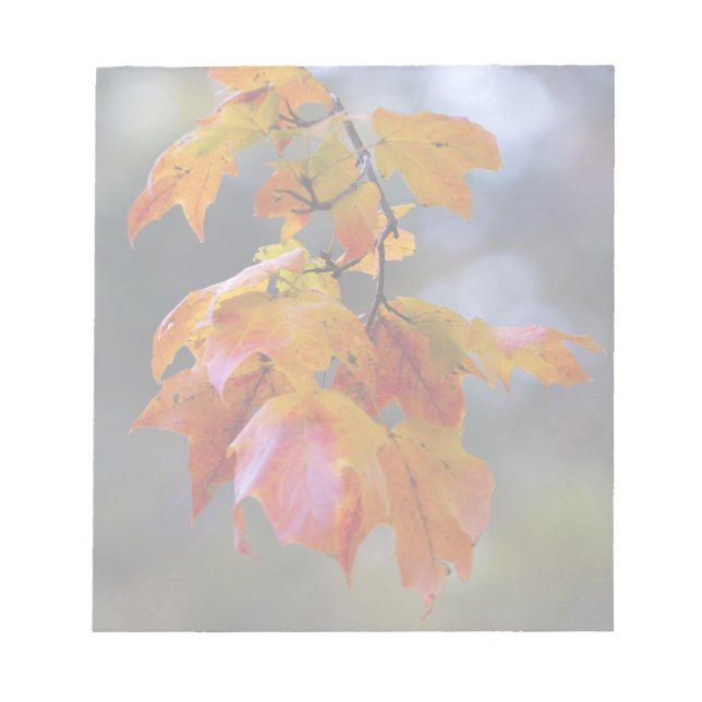 Herbstleaves Notizblock (Vorderseite)