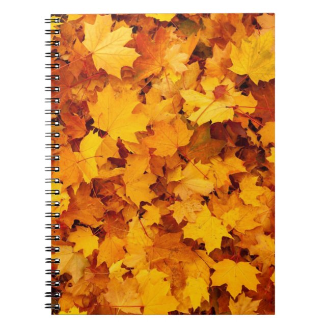 Herbstleaves Notizblock (Vorderseite)