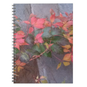 Herbstleaves Notizblock