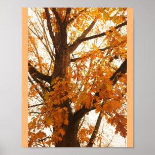 Herbstleaves Poster
