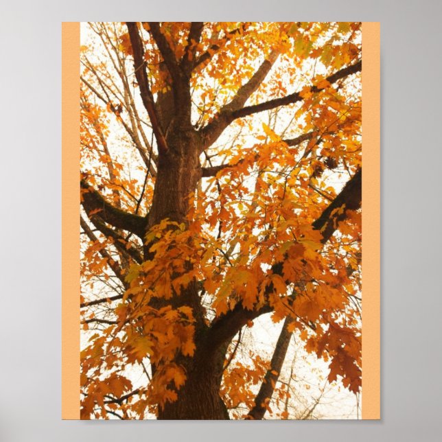 Herbstleaves Poster (Vorne)