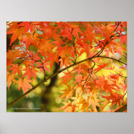 Herbstleaves Poster