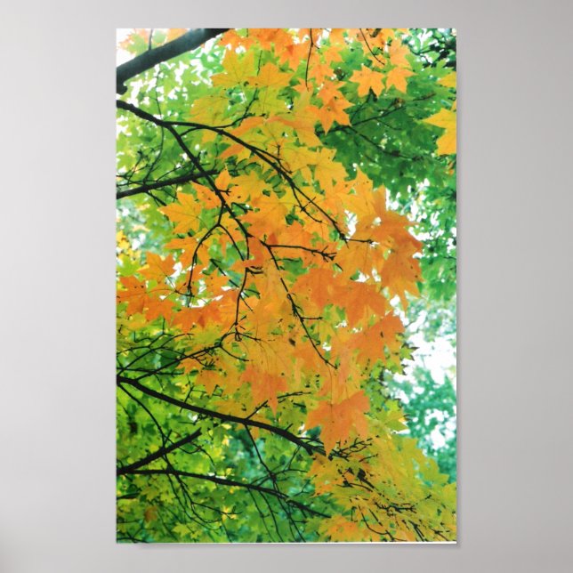 Herbstleaves Poster (Vorne)