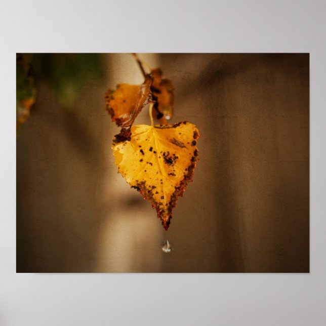 Herbstleaves Poster (Vorne)