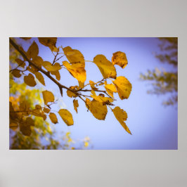Herbstleaves Poster