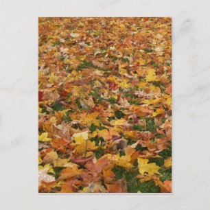 Herbstleaves Postkarte